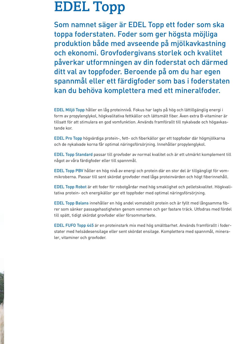 Beroende på om du har egen spannmål eller ett färdigfoder som bas i foderstaten kan du behöva komplettera med ett mineralfoder. EDEL Miljö Topp håller en låg proteinnivå.