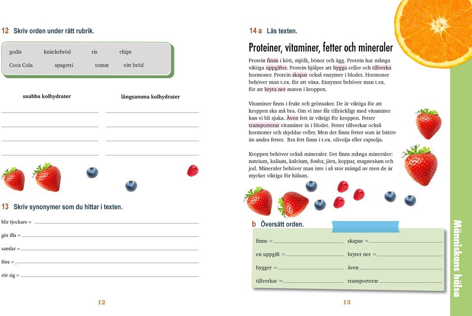 Protein skapar också enzymer i blodet. Hormoner behöver man t.ex. för att växa. Enzymer behöver man t.ex. för att bryta ner maten i kroppen. Vitaminer finns i frukt och grönsaker.