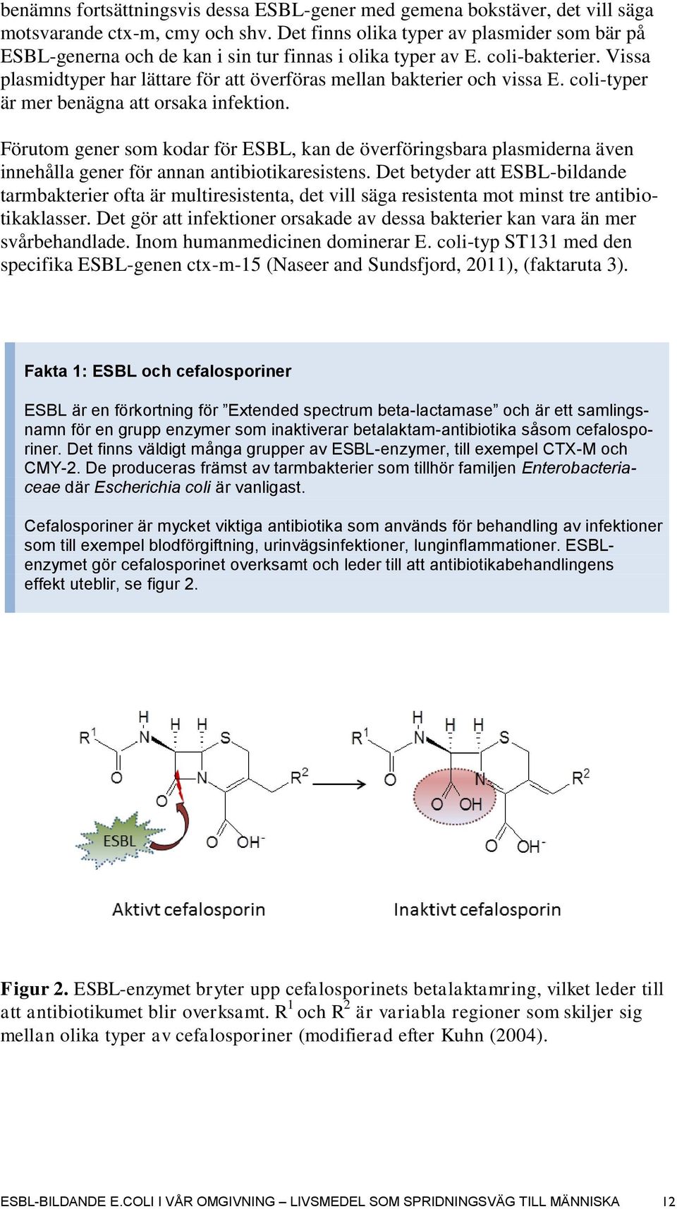 Vissa plasmidtyper har lättare för att överföras mellan bakterier och vissa E. coli-typer är mer benägna att orsaka infektion.