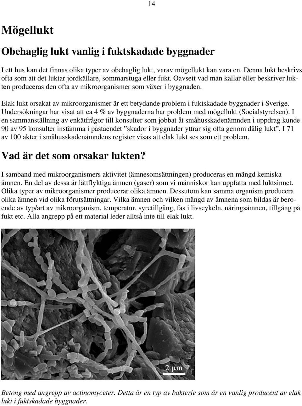 Elak lukt orsakat av mikroorganismer är ett betydande problem i fuktskadade byggnader i Sverige. Undersökningar har visat att ca 4 % av byggnaderna har problem med mögellukt (Socialstyrelsen).