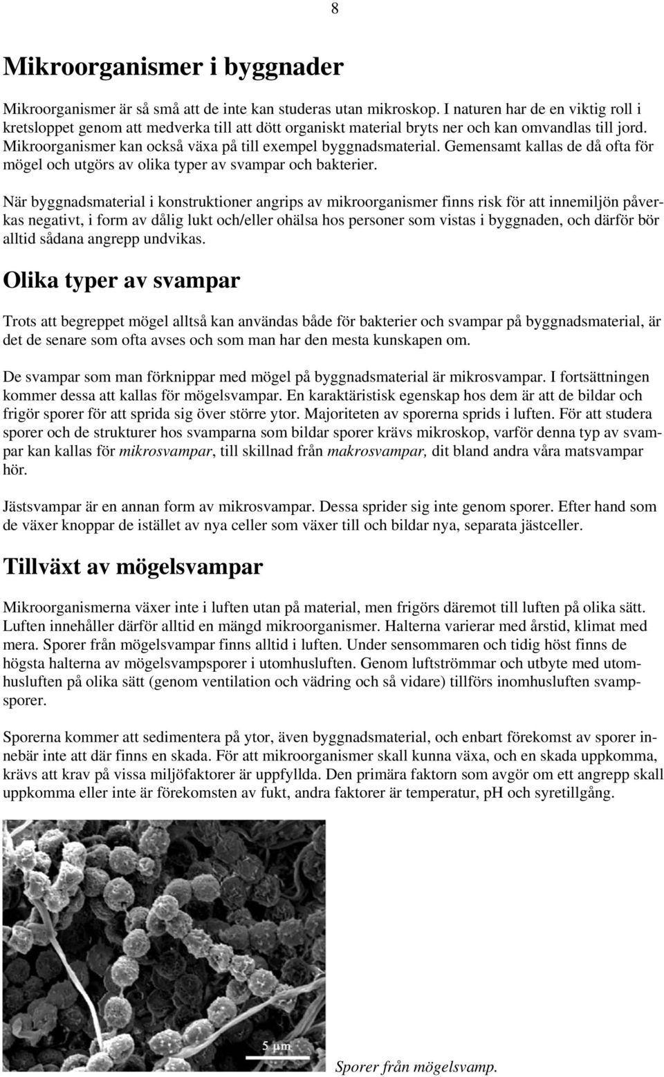 Mikroorganismer kan också växa på till exempel byggnadsmaterial. Gemensamt kallas de då ofta för mögel och utgörs av olika typer av svampar och bakterier.