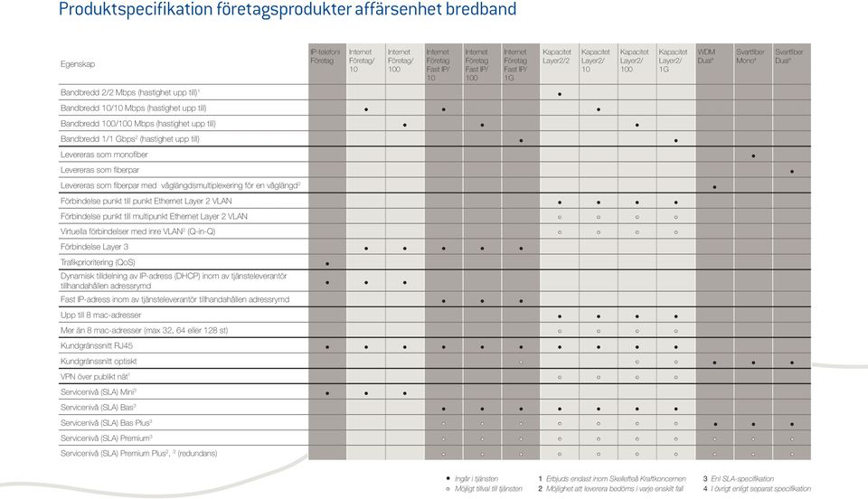 våglängd 2 Förbindelse punkt till punkt Ethernet Layer 2 VLAN Förbindelse punkt till multipunkt Ethernet Layer 2 VLAN Virtuella förbindelser med inre VLAN 2 (Q-in-Q) Företag Fast IP/ 10 Företag Fast