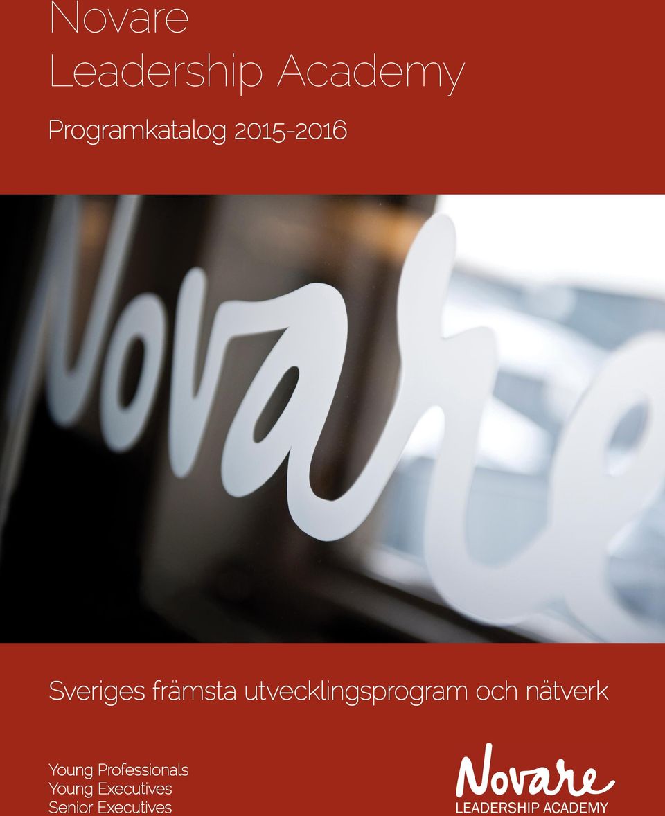 utvecklingsprogram och nätverk Young