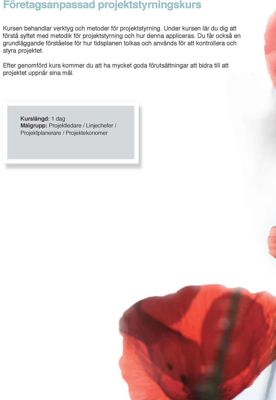 Du får också en grundläggande förståelse för hur tidsplanen tolkas och används för att kontrollera och styra projektet.