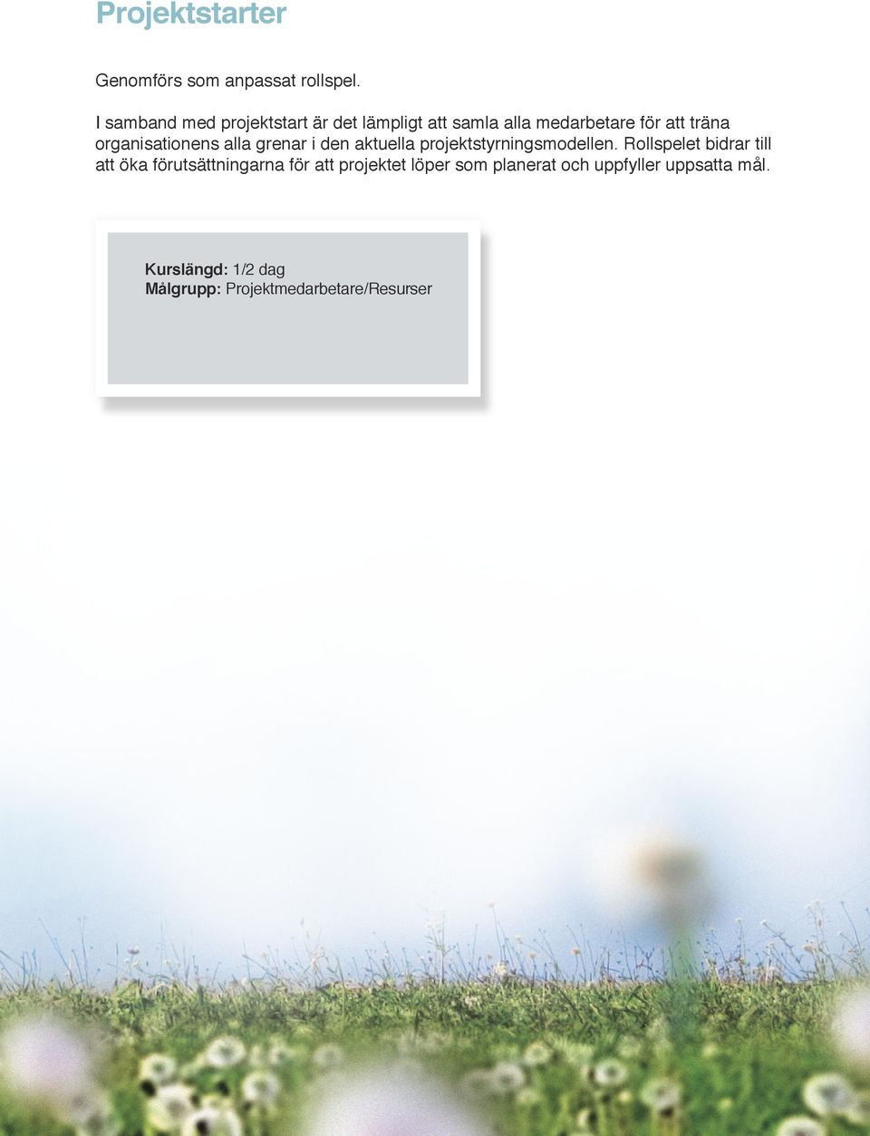 organisationens alla grenar i den aktuella projektstyrningsmodellen.