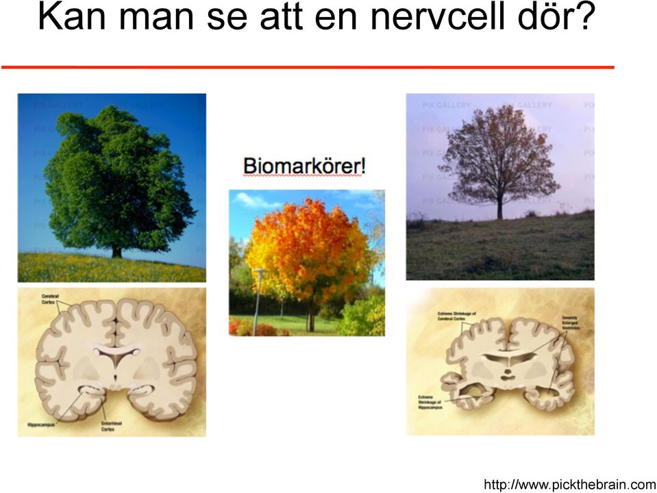 dör?
