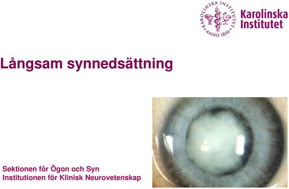 Syn Institutionen för