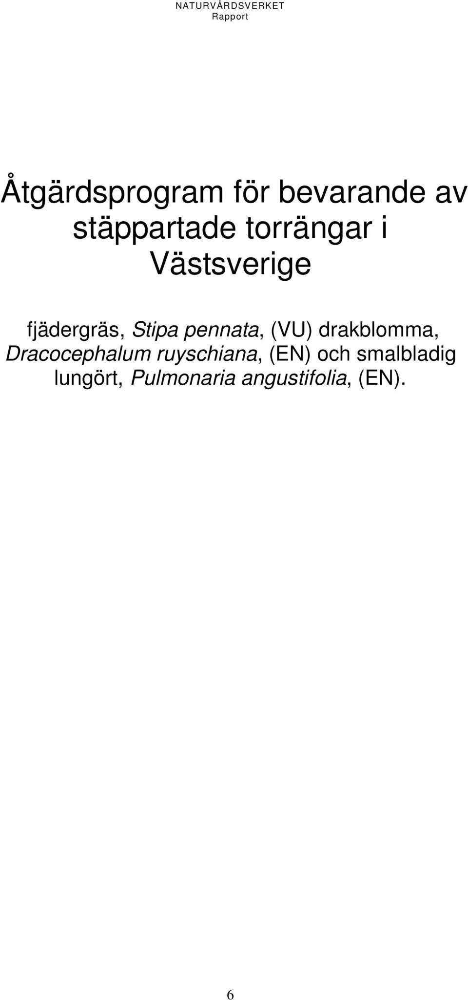 pennata, (VU) drakblomma, Dracocephalum
