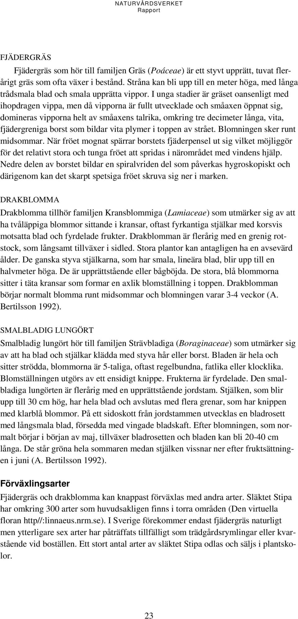 I unga stadier är gräset oansenligt med ihopdragen vippa, men då vipporna är fullt utvecklade och småaxen öppnat sig, domineras vipporna helt av småaxens talrika, omkring tre decimeter långa, vita,