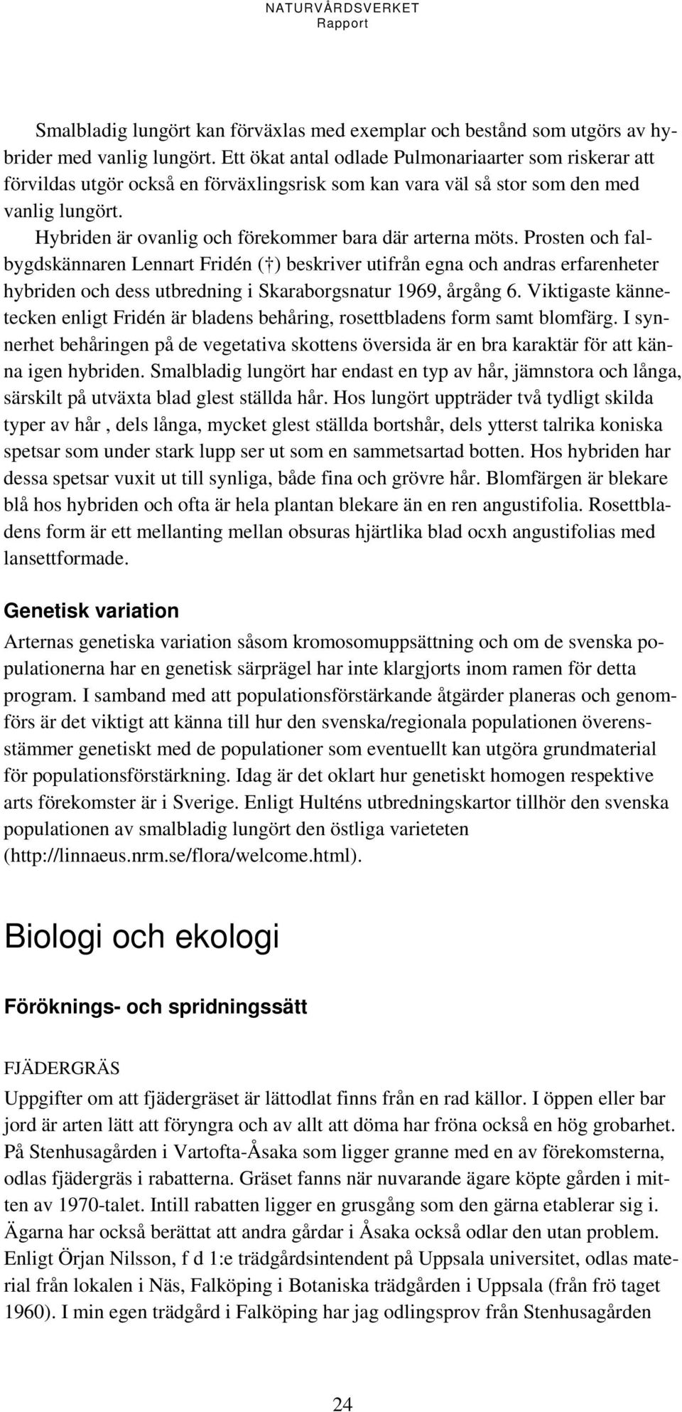 Hybriden är ovanlig och förekommer bara där arterna möts.