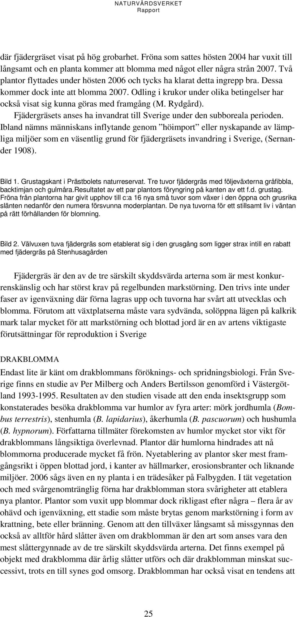 Odling i krukor under olika betingelser har också visat sig kunna göras med framgång (M. Rydgård). Fjädergräsets anses ha invandrat till Sverige under den subboreala perioden.
