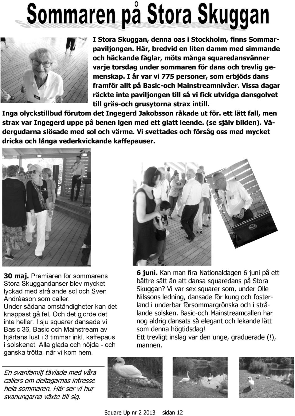 I år var vi 775 personer, som erbjöds dans framför allt på Basic-och Mainstreamnivåer. Vissa dagar räckte inte paviljongen till så vi fick utvidga dansgolvet till gräs-och grusytorna strax intill.
