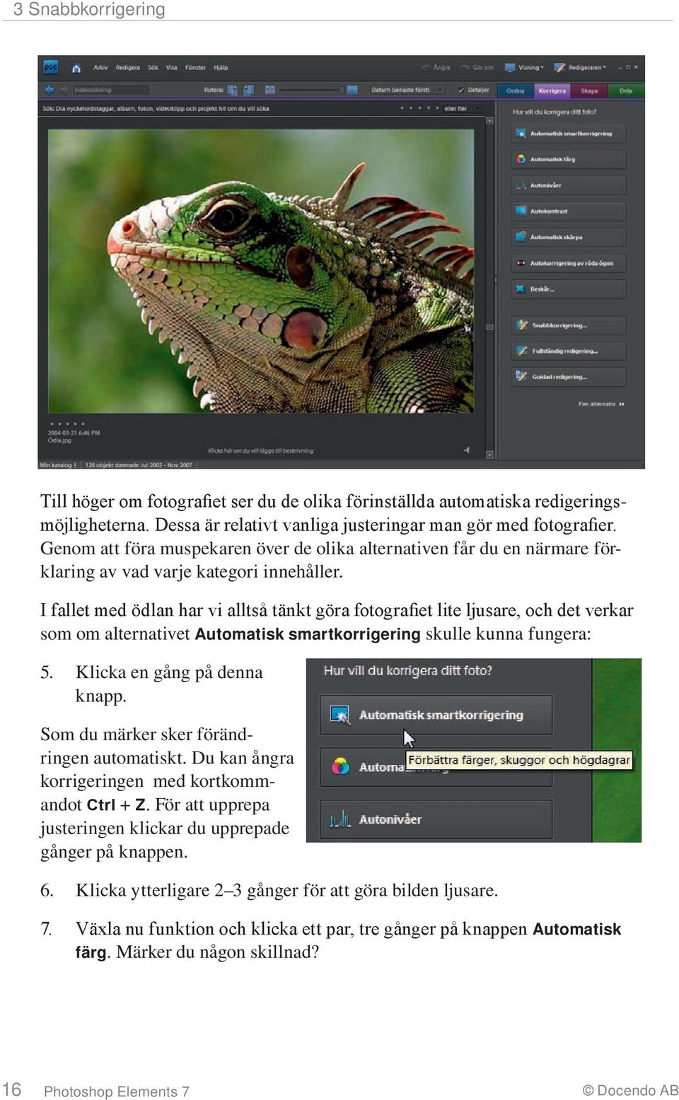I fallet med ödlan har vi alltså tänkt göra fotografiet lite ljusare, och det verkar som om alternativet Automatisk smartkorrigering skulle kunna fungera: 5. Klicka en gång på denna knapp.