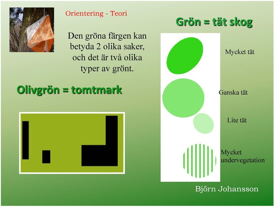 Olivgrön%=%tomtmark% Grön%=%tät%skog%