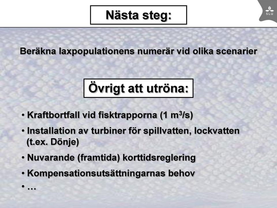 Installation av turbiner för spillvatten, lockvatten (t.ex.