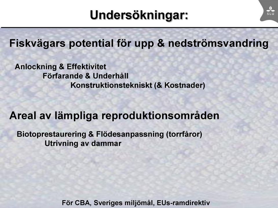 Areal av lämpliga reproduktionsområden Biotoprestaurering &