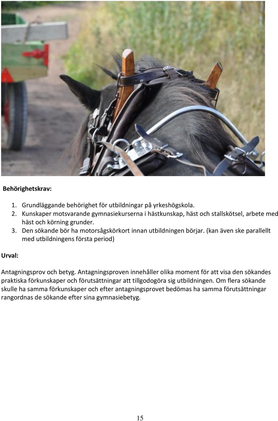 Den sökande bör ha motorsågskörkort innan utbildningen börjar. (kan även ske parallellt med utbildningens första period) Antagningsprov och betyg.