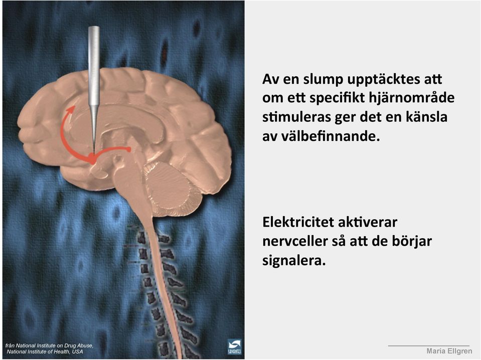 Elektricitet akaverar nervceller så am de börjar