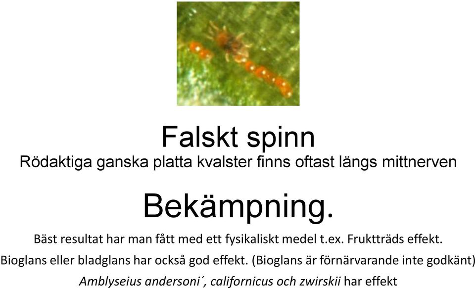 Fruktträds effekt. Bioglans eller bladglans har också god effekt.