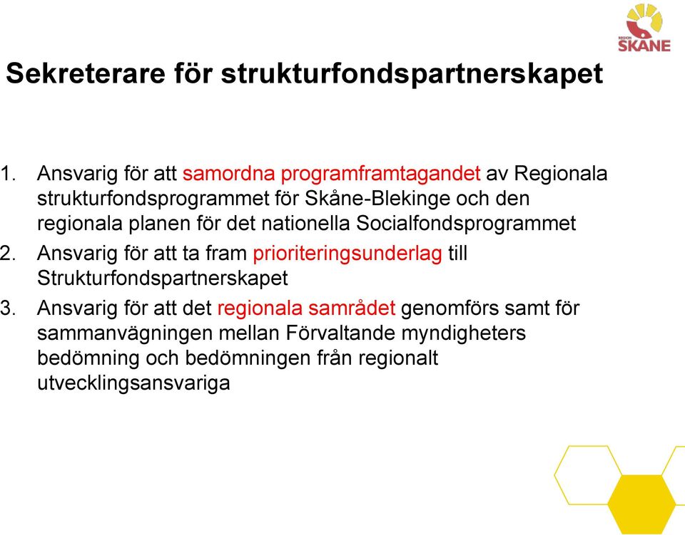 regionala planen för det nationella Socialfondsprogrammet 2.