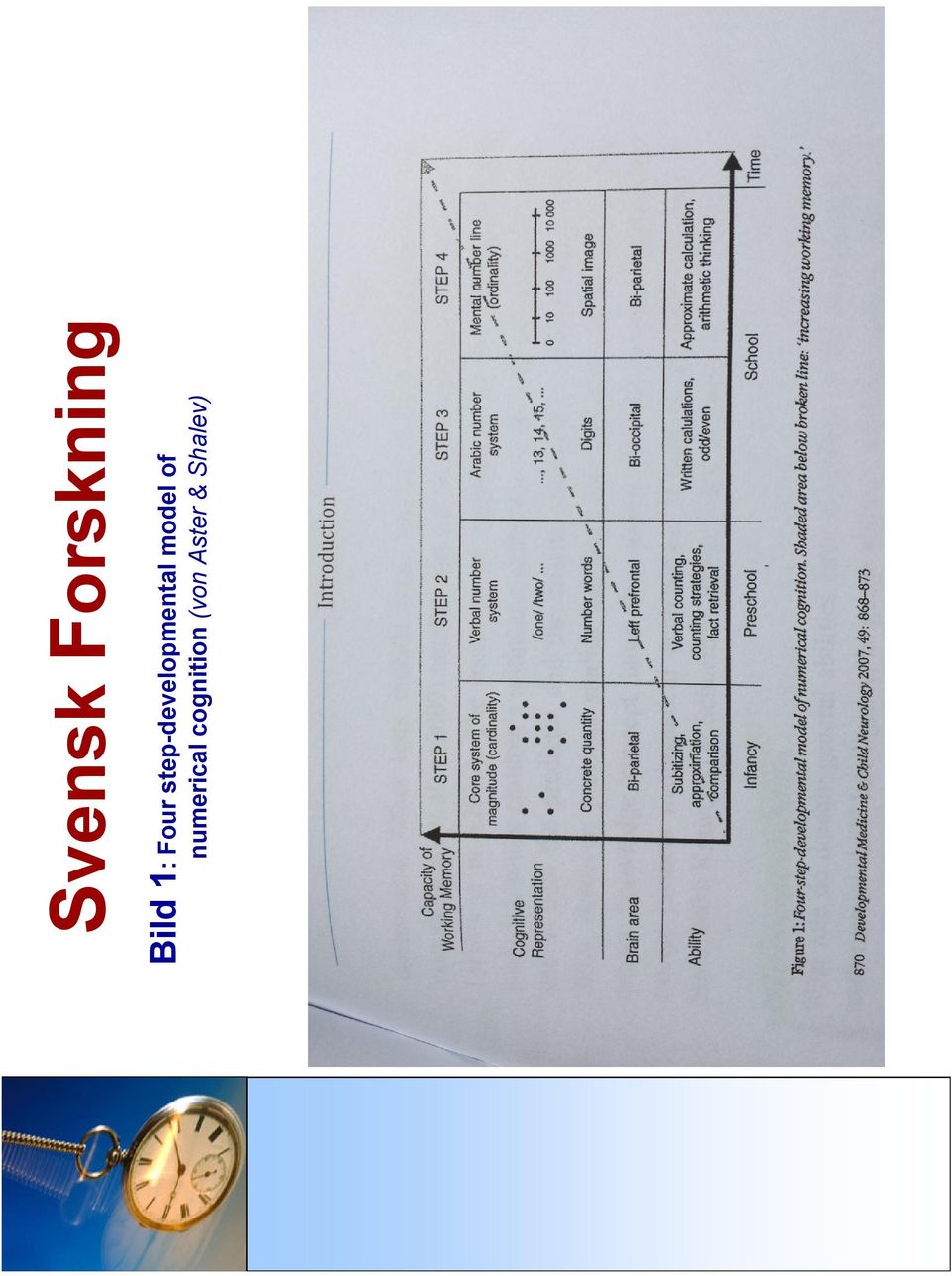 step-developmental model of