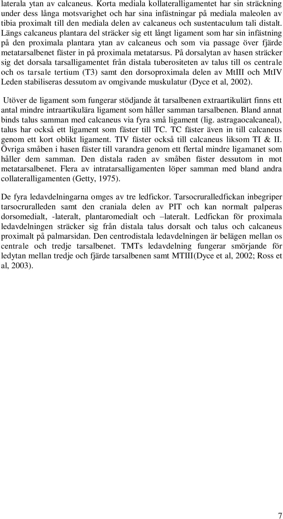 sustentaculum tali distalt.