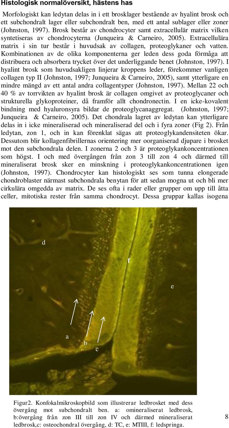 Extracellulära matrix i sin tur består i huvudsak av collagen, proteoglykaner och vatten.
