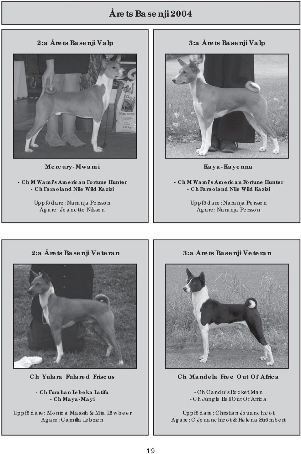Årets Basenji Veteran 3:a Årets Basenji Veteran Ch Yulara Fulared Friscus - Ch Furahan Lebeka Latifu - Ch Maya-Mayi Uppfödare: Monica Massih & Mia Löwbeer Ägare: