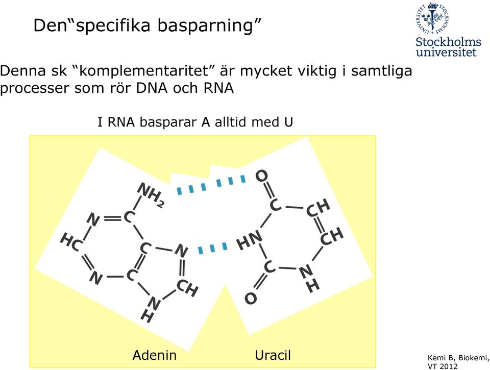 samtliga processer som rör DNA och