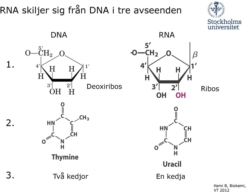 RNA 1.