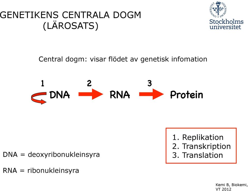 RNA! Protein" DNA = deoxyribonukleinsyra 1.