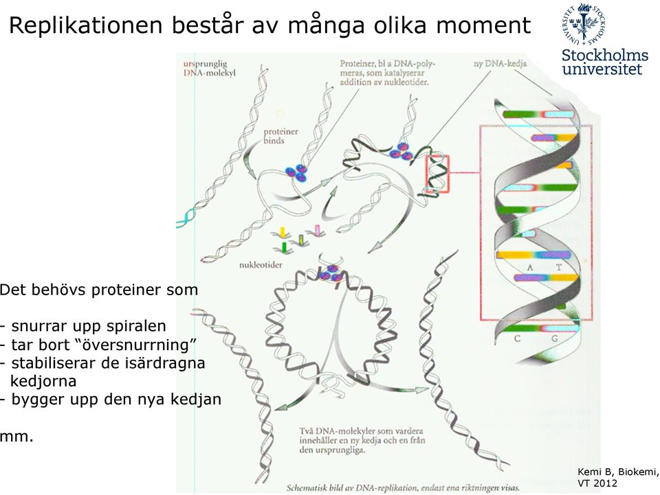 tar bort översnurrning - stabiliserar de