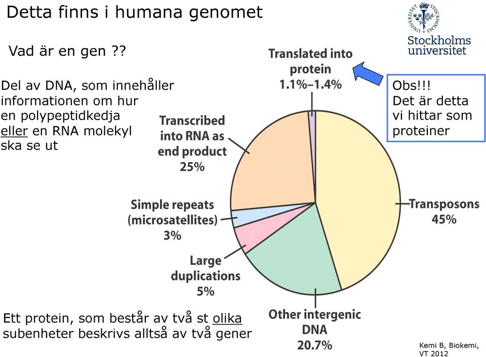 polypeptidkedja eller en RNA molekyl ska se ut Obs!