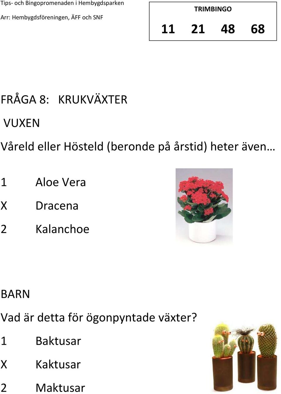 Aloe Vera Dracena 2 Kalanchoe Vad är detta för