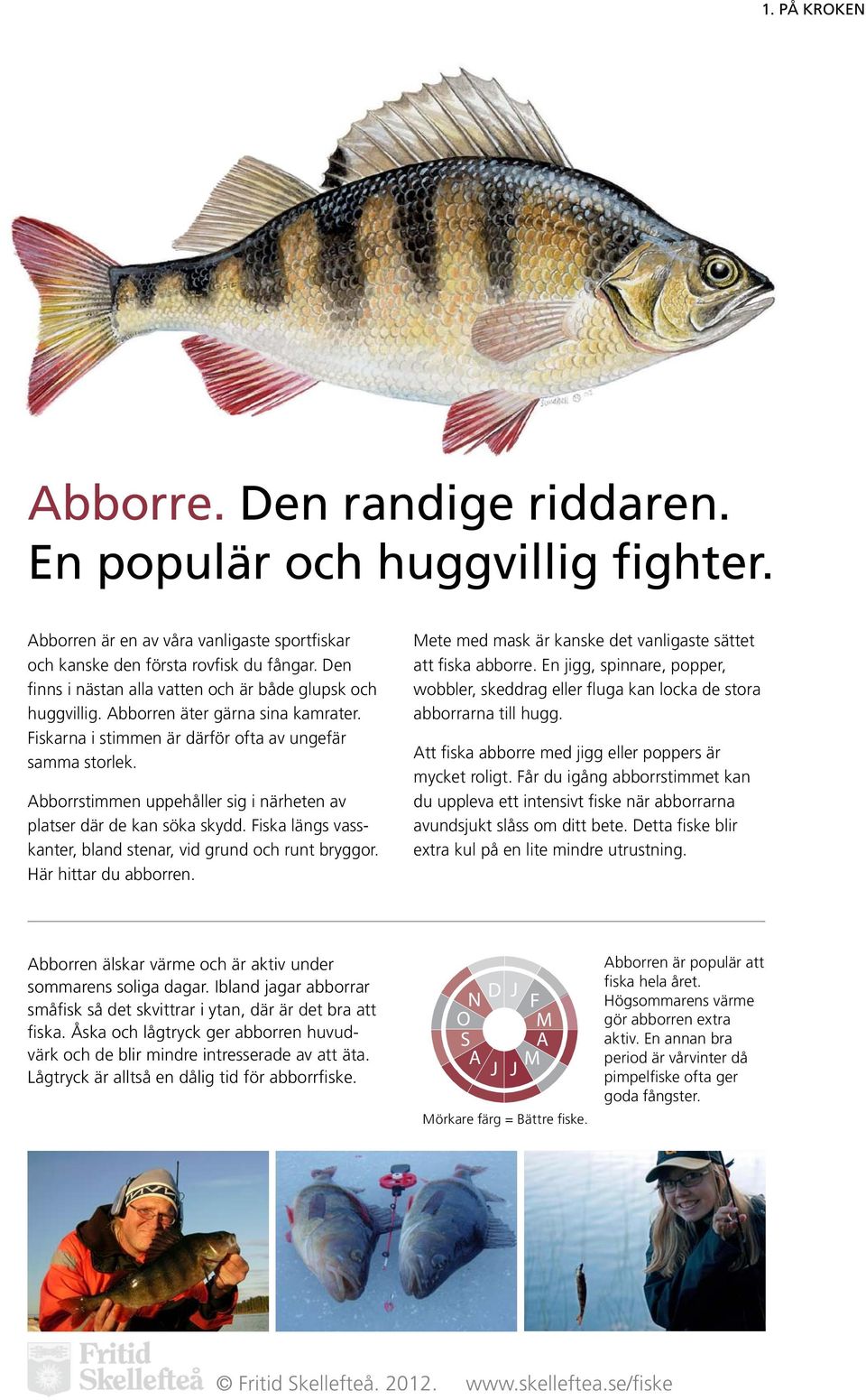 Abborrstimmen uppehåller sig i närheten av platser där de kan söka skydd. Fiska längs vasskanter, bland stenar, vid grund och runt bryggor. Här hittar du abborren.