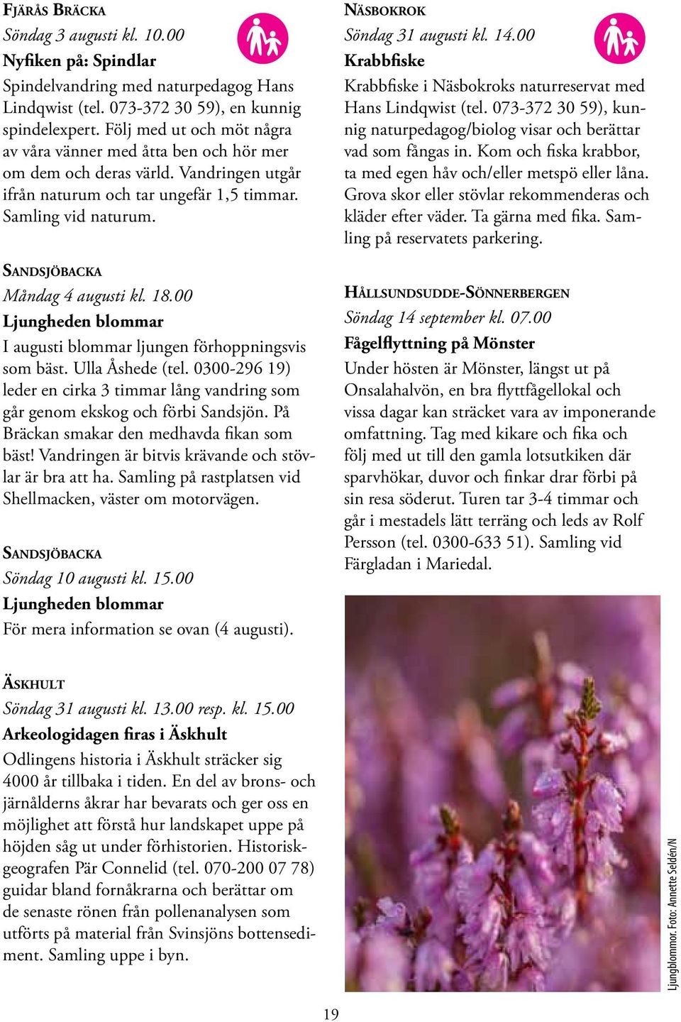 Sandsjöbacka Måndag 4 augusti kl. 18.00 Ljungheden blommar I augusti blommar ljungen förhoppningsvis som bäst. Ulla Åshede (tel.