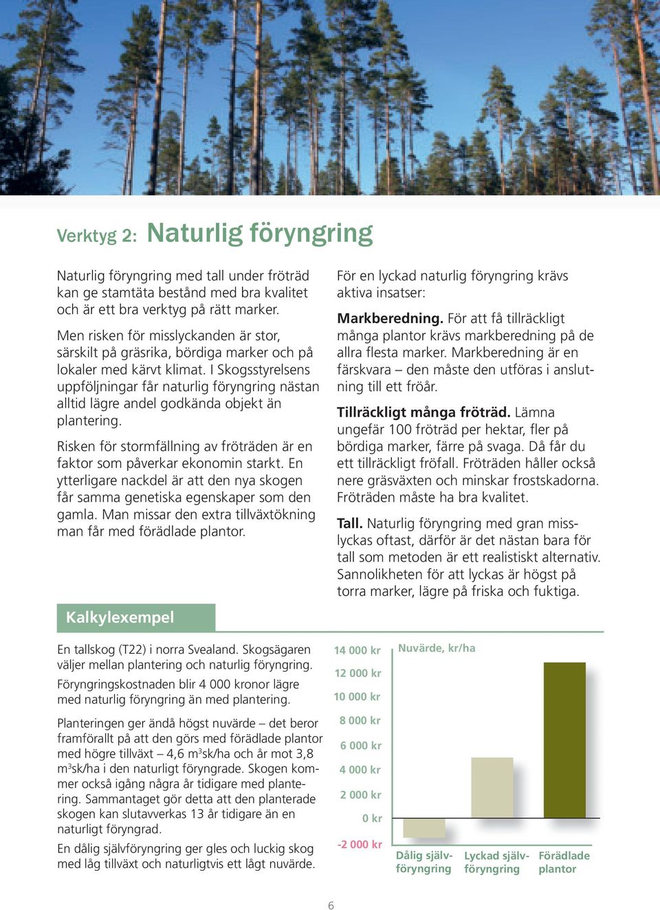 I Skogsstyrelsens uppföljningar får naturlig föryngring nästan alltid lägre andel godkända objekt än plantering. Risken för stormfällning av fröträden är en faktor som påverkar ekonomin starkt.