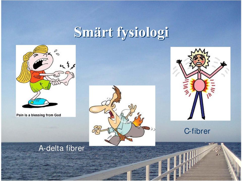 C-fibrer