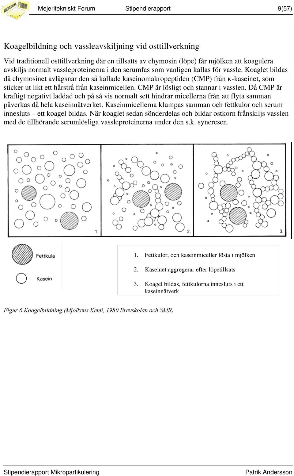 Koaglet bildas då chymosinet avlägsnar den så kallade kaseinomakropeptiden (CMP) från κ-kaseinet, som sticker ut likt ett hårstrå från kaseinmicellen. CMP är lösligt och stannar i vasslen.