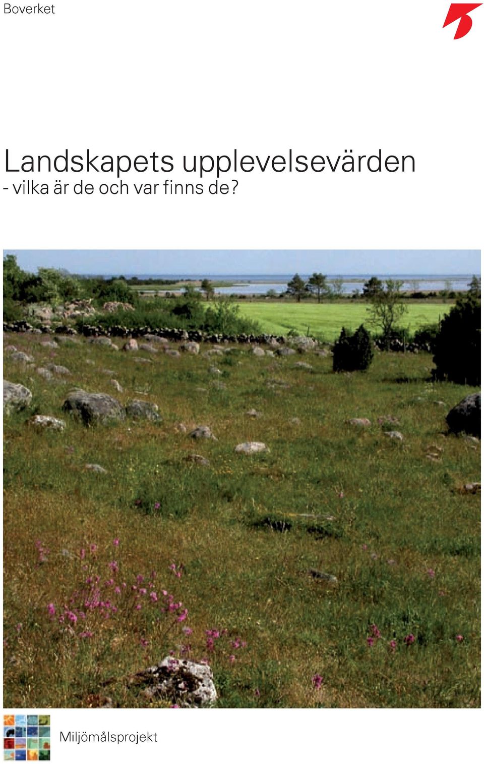 vilka är de och var