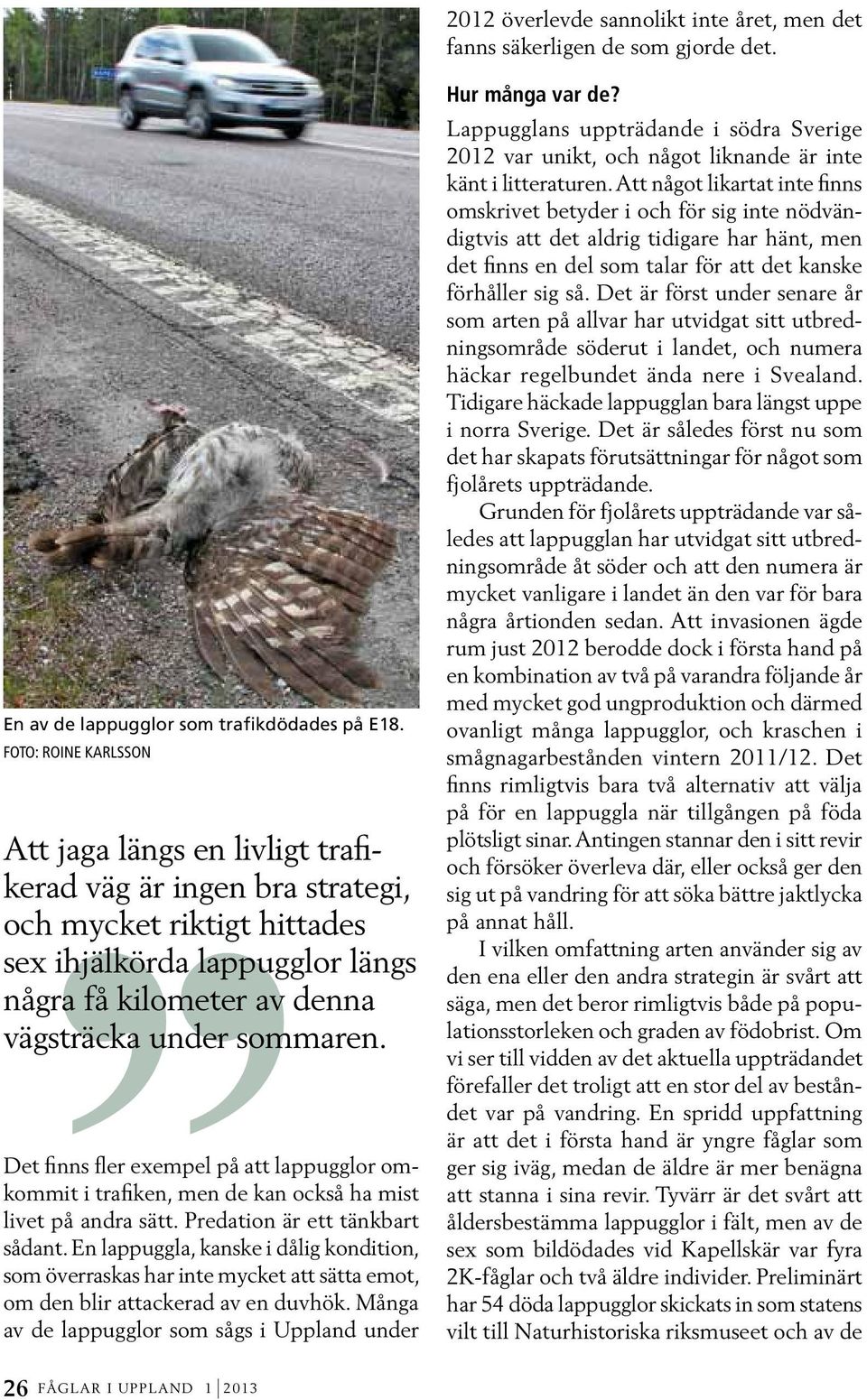 Det finns fler exempel på att lappugglor omkommit i trafiken, men de kan också ha mist livet på andra sätt. Predation är ett tänkbart sådant.