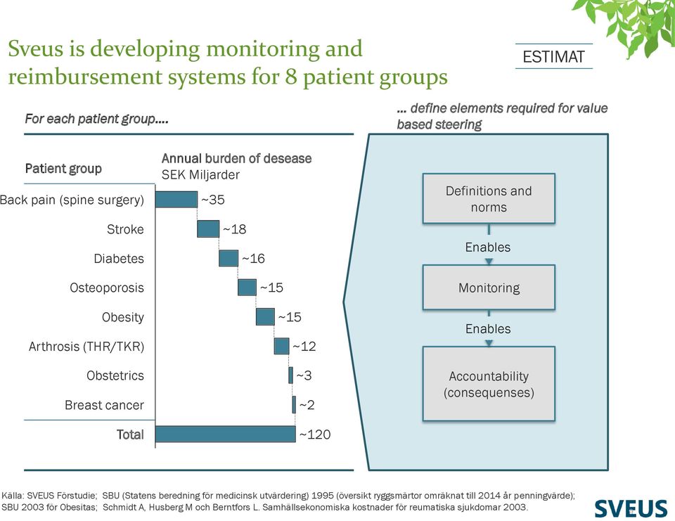 Total Annual burden of desease SEK Miljarder ~35 ~18 ~16 ~15 ~15 ~12 ~3 ~2 ~120 Definitions and norms Enables Monitoring Enables Accountability (consequenses) Källa: SVEUS