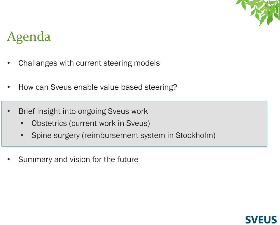 Brief insight into ongoing Sveus work Obstetrics (current work