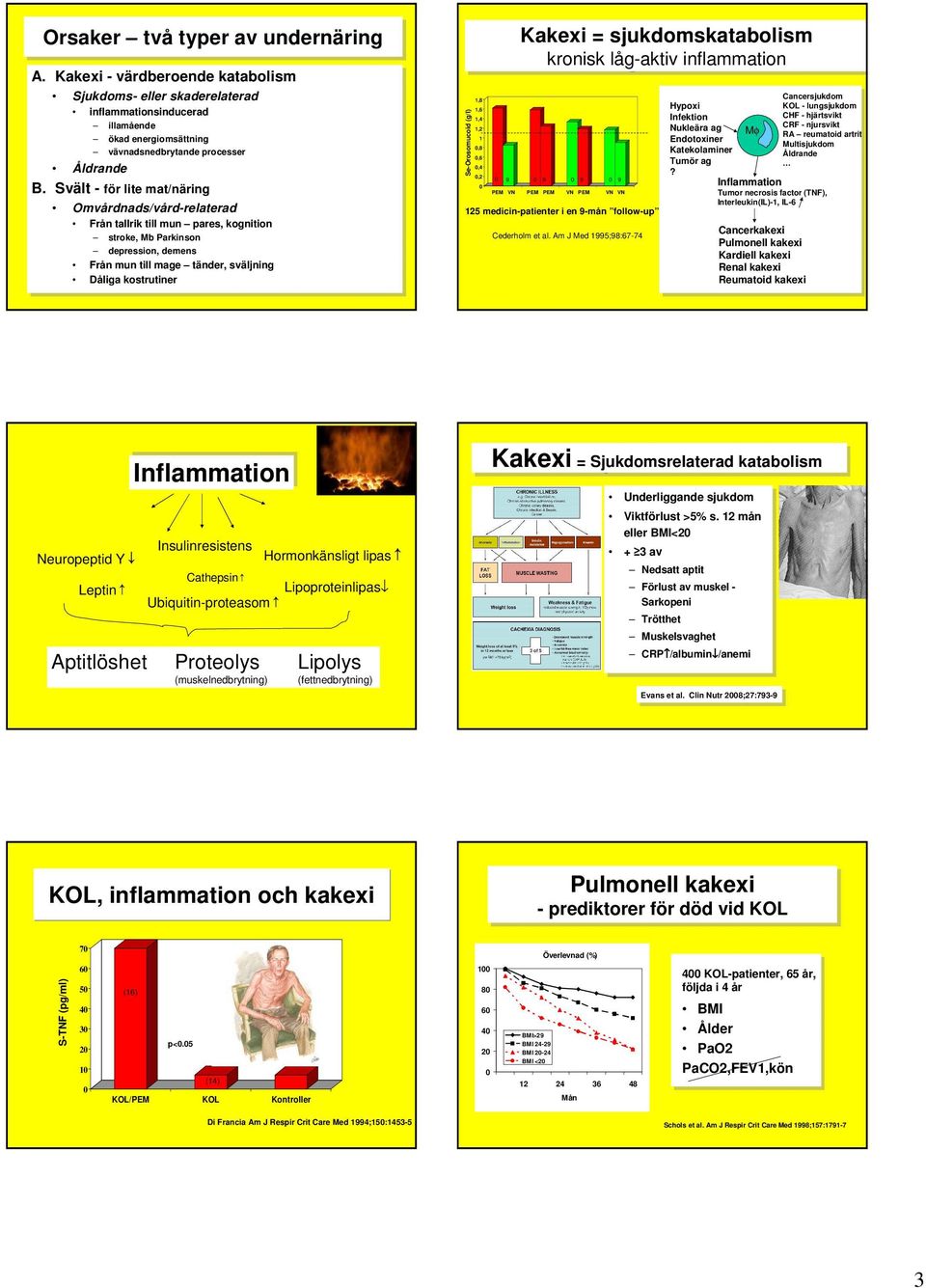 processer processer Åldrande B.