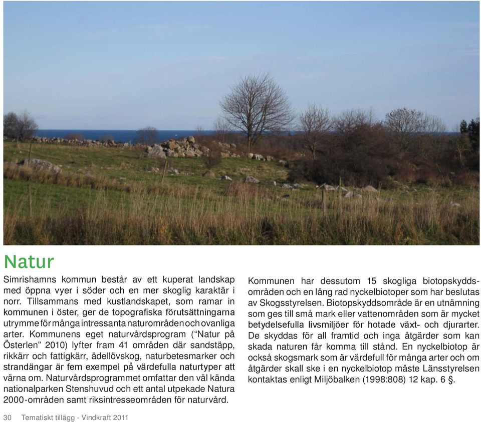 Kommunens eget naturvårdsprogram ( Natur på Österlen 2010) lyfter fram 41 områden där sandstäpp, rikkärr och fattigkärr, ädellövskog, naturbetesmarker och strandängar är fem exempel på värdefulla