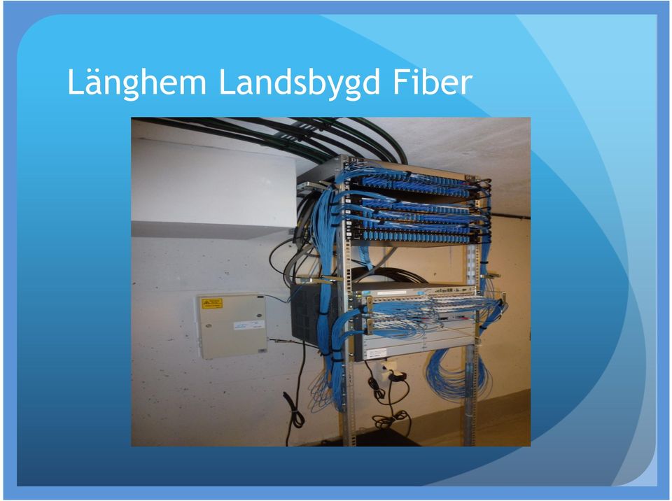 Fiber