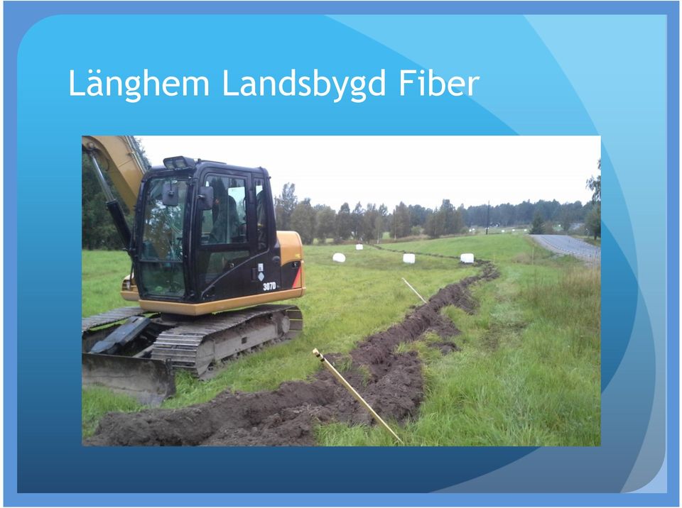 Fiber