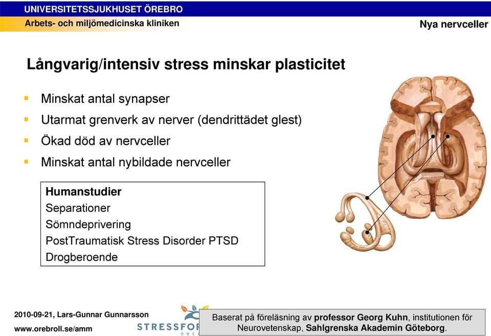 Humanstudier Separationer Sömndeprivering PostTraumatisk Stress Disorder PTSD Drogberoende