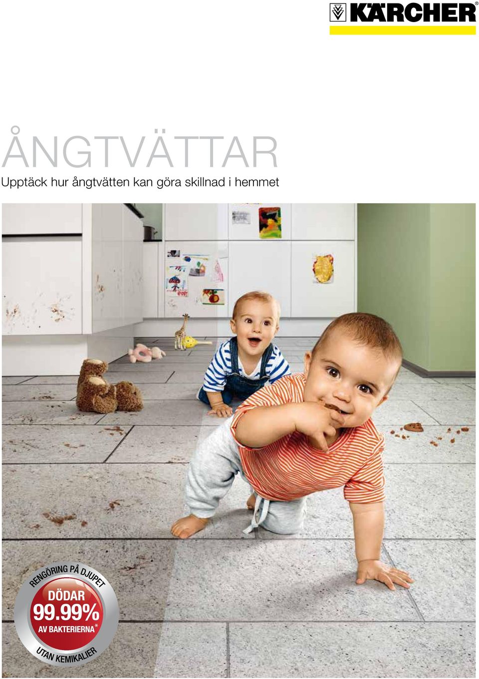 med Kärchers ångtvätt dödas 99.