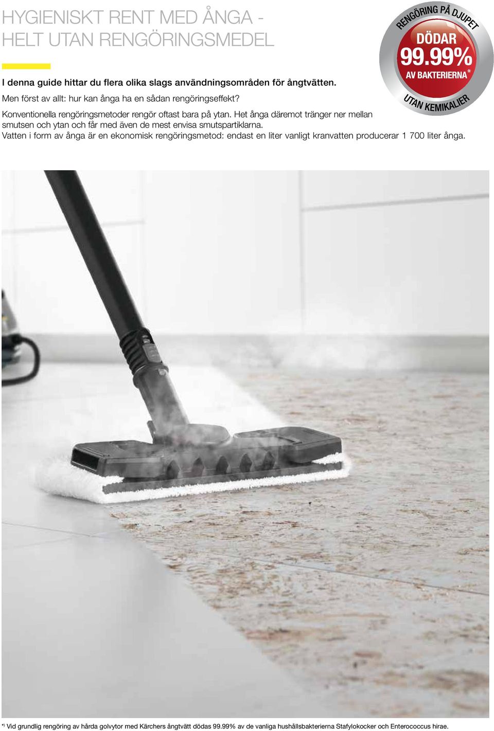 ÅNGTVÄTTAR Upptäck hur ångtvätten kan göra skillnad i hemmet - PDF ...